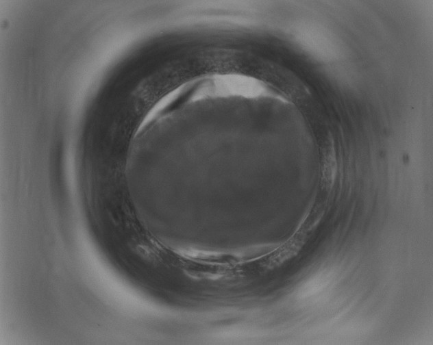 X0000072920383200608181257