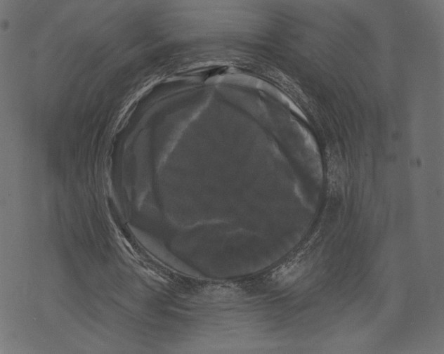 X0000072920386200608181256