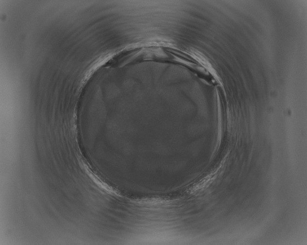 X0000072920389200608181256