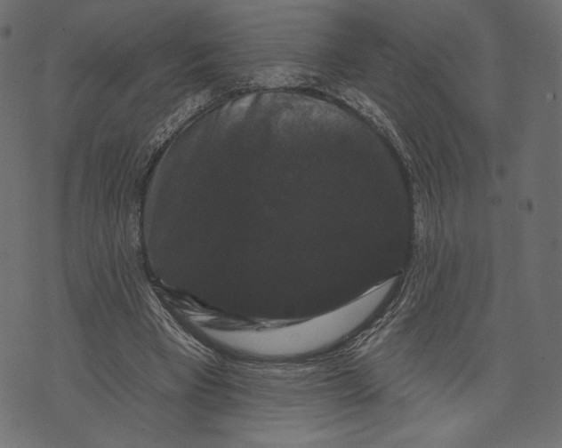 X0000072920393200608181256