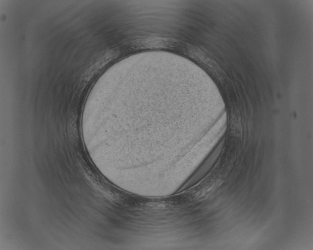 X0000072920394200608181256
