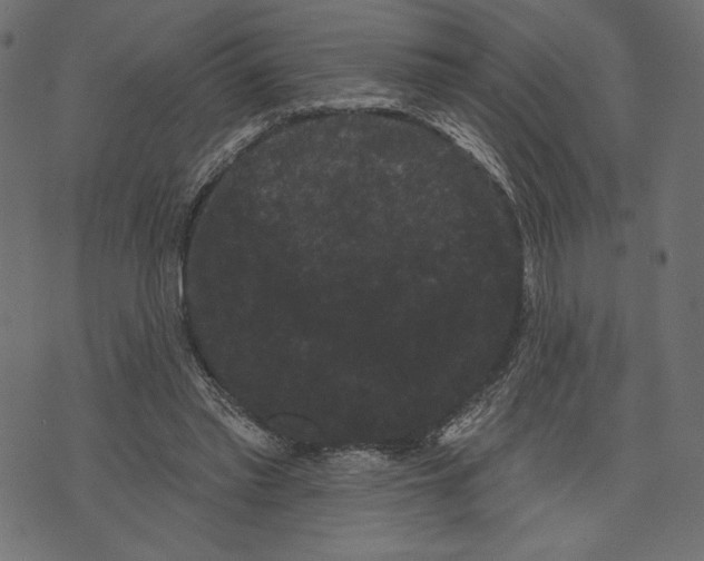 X0000072920397200608181256