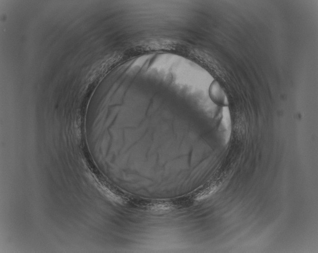X0000072920402200608181256