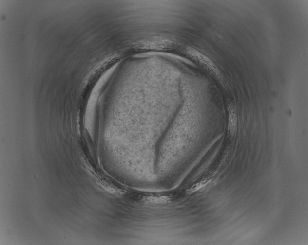 X0000072920403200608181256