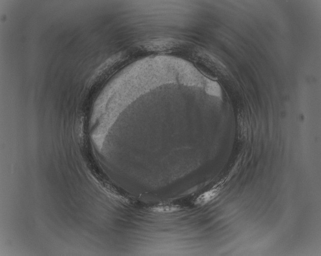 X0000072920404200608181256