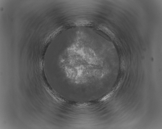 X0000072920405200608181256