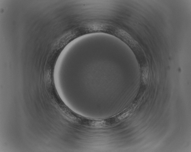 X0000072920410200608181256