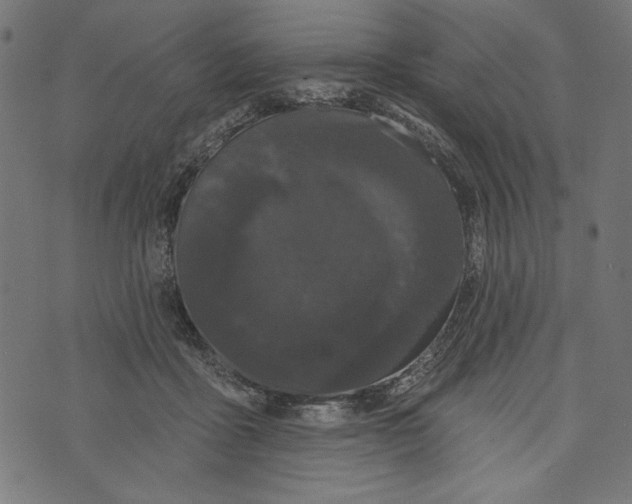 X0000072920411200608181256