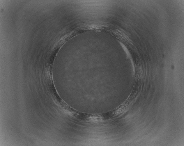 X0000072920415200608181256