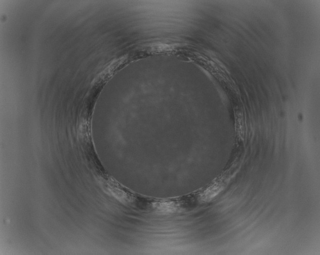 X0000072920419200608181256