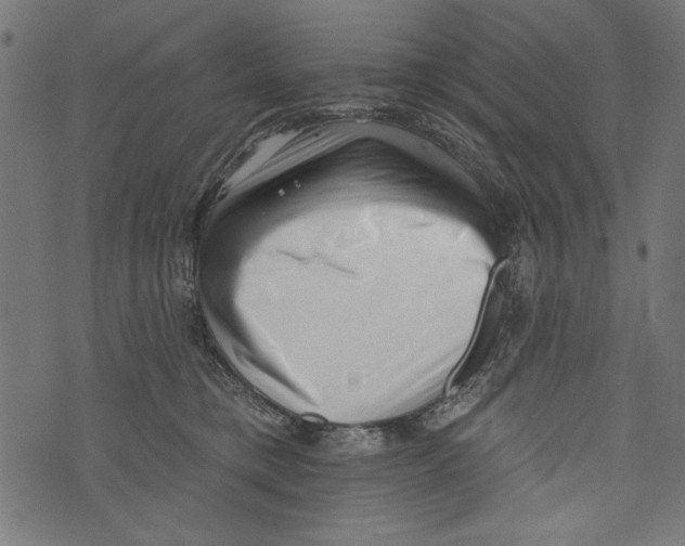 X0000072920421200608181256