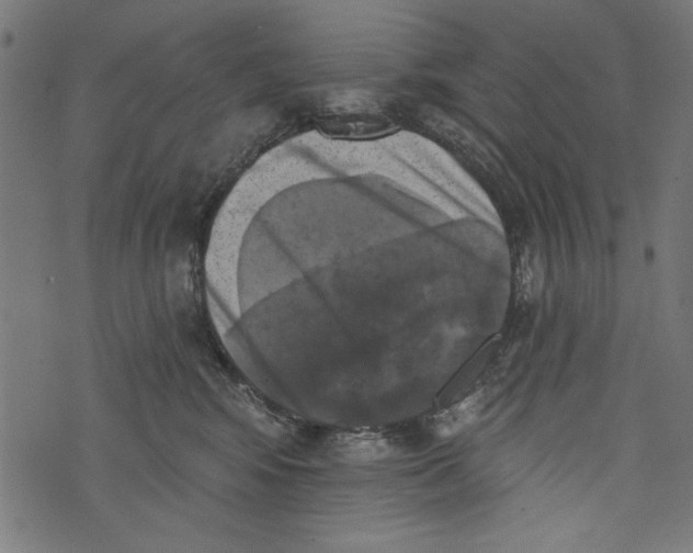 X0000072920424200608181256