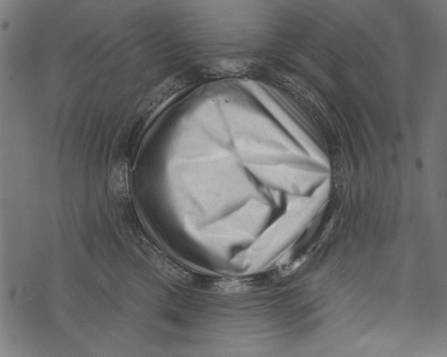 X0000072920425200608181256