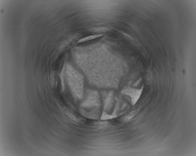 X0000072920428200608181255
