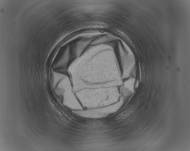 X0000072920435200608181255