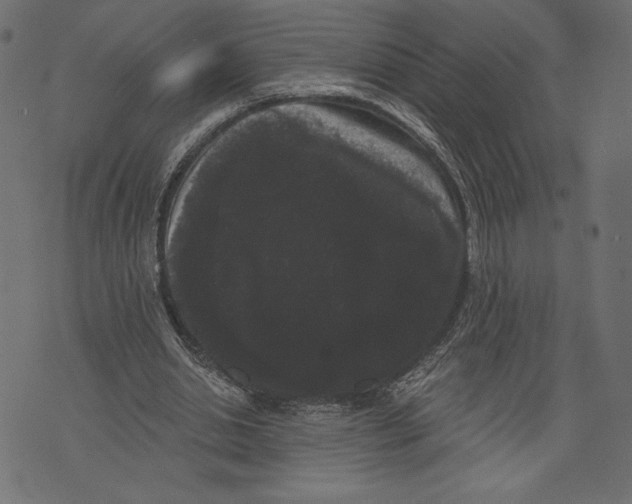 X0000072920438200608181255