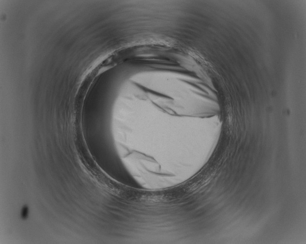 X0000072920440200608181255