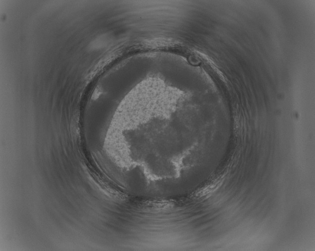 X0000072920443200608181255
