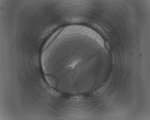 X0000072920447200608181255