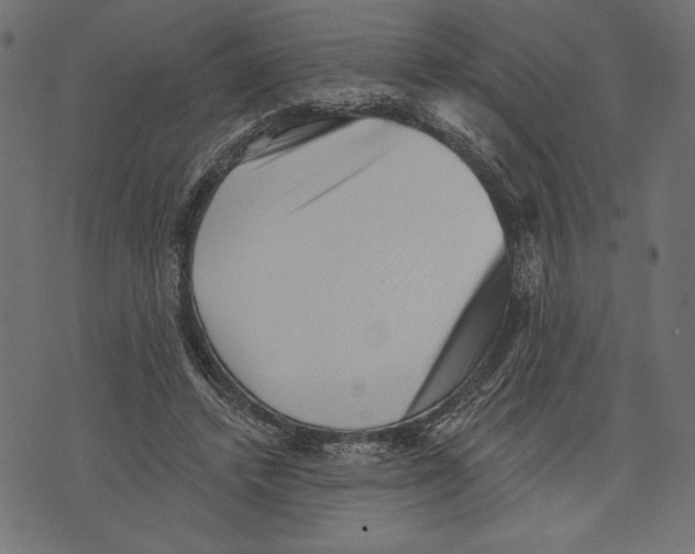 X0000072920448200608181255