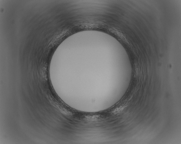 X0000072920450200608181255