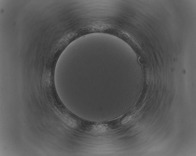 X0000072920451200608181255