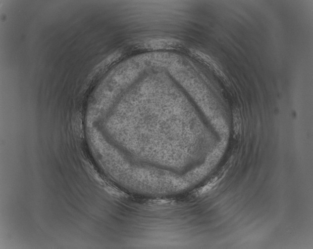 X0000072920453200608181255
