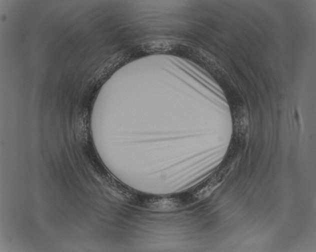 X0000072920460200608181255
