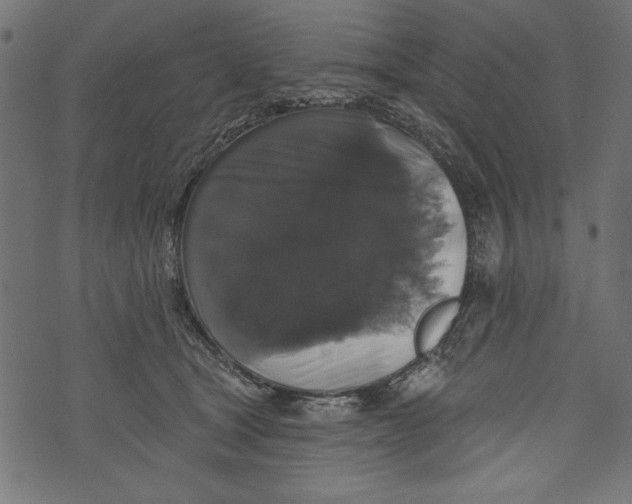 X0000072920465200608181255