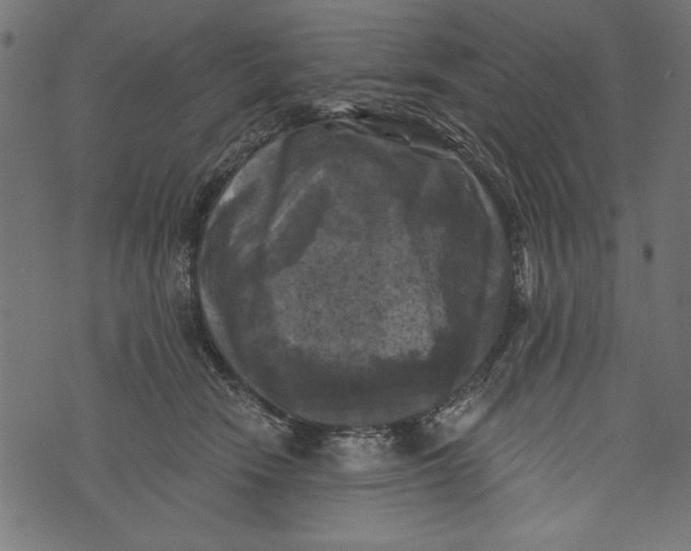X0000072920466200608181255
