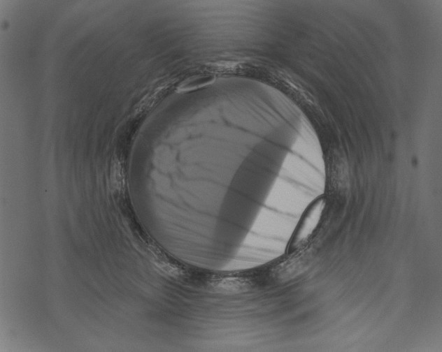 X0000072920467200608181255