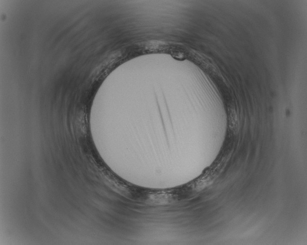 X0000072920470200608181255