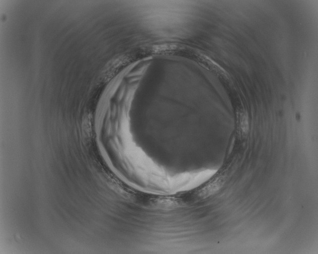 X0000072920475200608181255