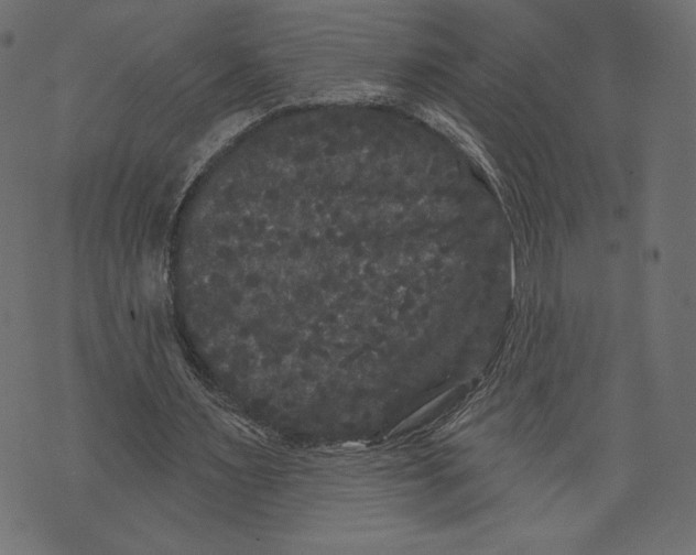 X0000072920483200608181255