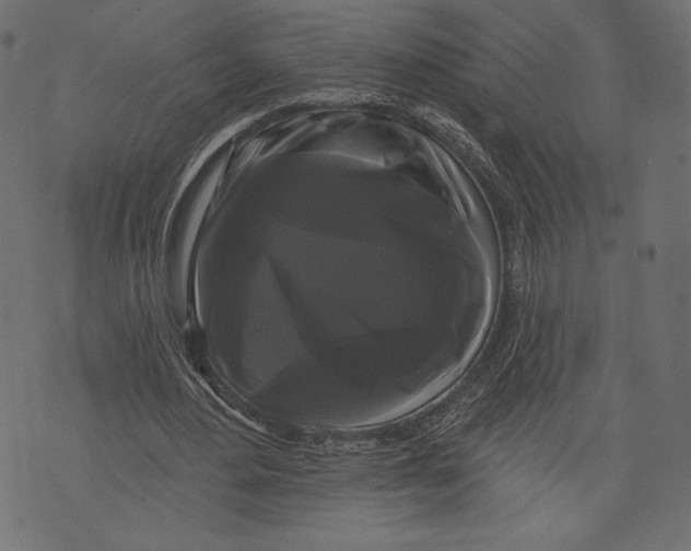 X0000072920484200608181255
