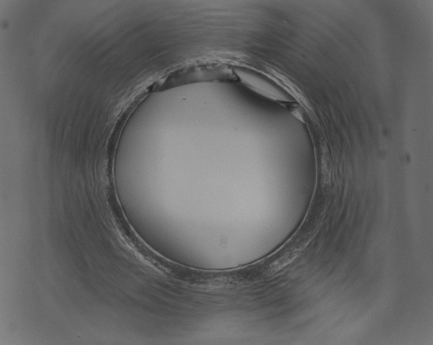 X0000072920485200608181255