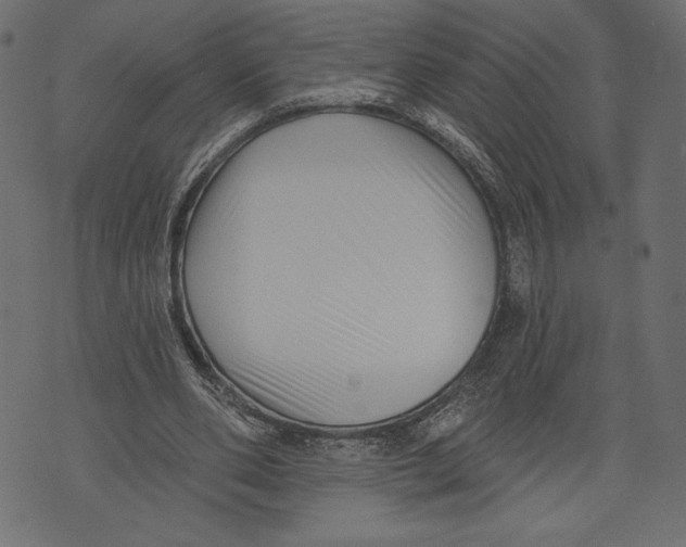 X0000072920486200608181255