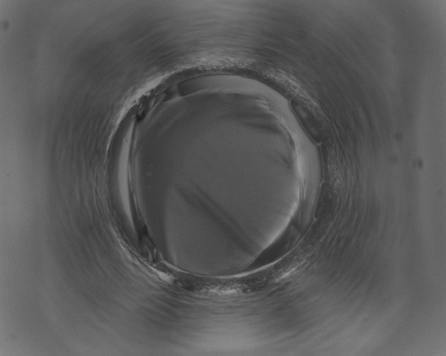 X0000072920488200608181255