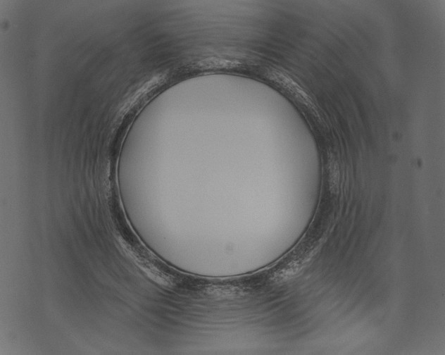 X0000072920490200608181254