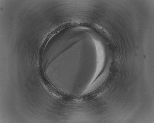 X0000072920496200608181254