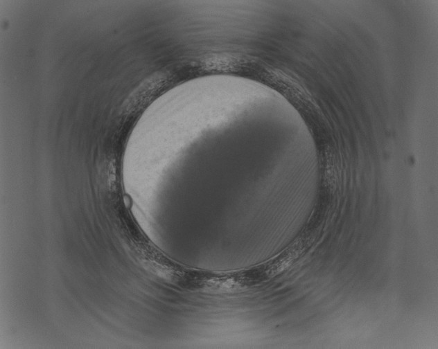 X0000072920502200608181254