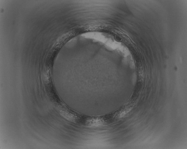 X0000072920503200608181254