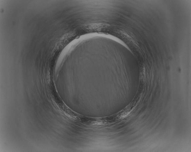 X0000072920504200608181254