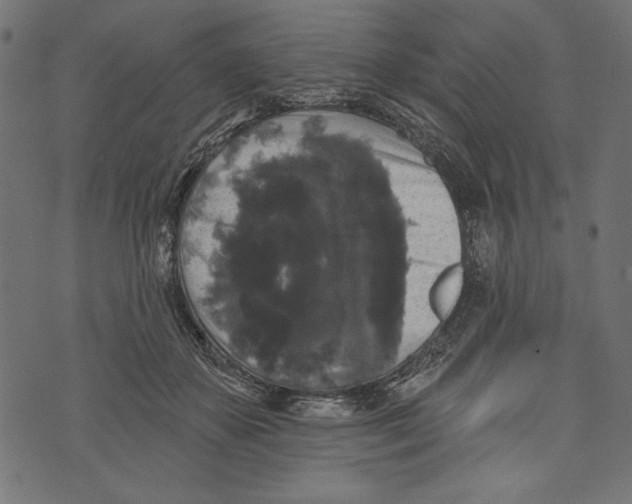 X0000072920507200608181254
