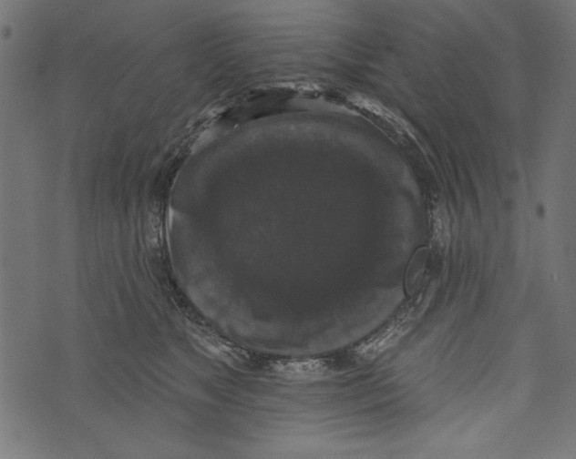 X0000072920517200608181254