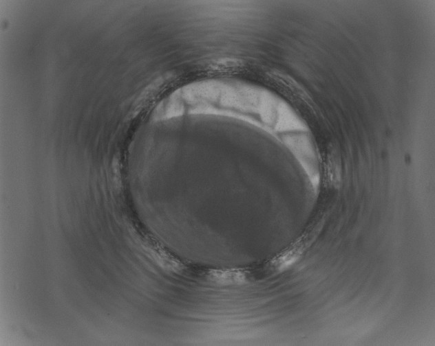 X0000072920520200608181254