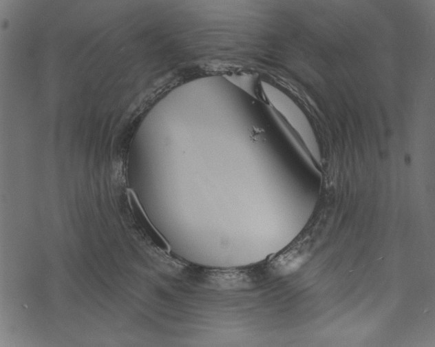 X0000072920521200608181254