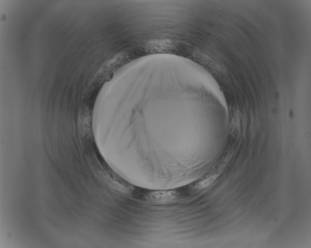 X0000072920526200608181254