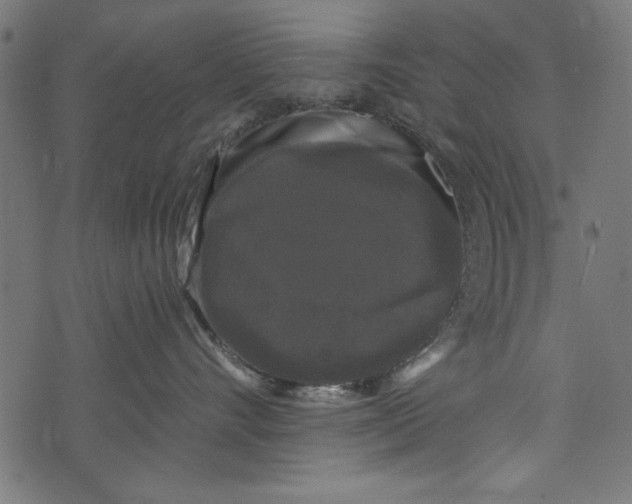 X0000072920528200608181254