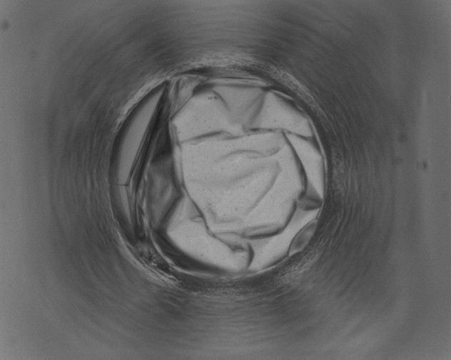 X0000072920530200608181253